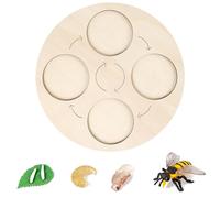 Generico Wooden life cycle board teaching aids, early #educational natural learning animal toys, suitable for toddler gifts, suitable for boys and girls, plants, butterflies (6)