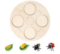 Generico Wooden life cycle board teaching aids, early #educational natural learning animal toys, suitable for toddler gifts, suitable for boys and girls, plants, butterflies (4)