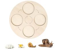 Generico Wooden life cycle board teaching aids, early #educational natural learning animal toys, suitable for toddler gifts, suitable for boys and girls, plants, butterflies (7)