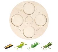 Generico Wooden life cycle board teaching aids, early #educational natural learning animal toys, suitable for toddler gifts, suitable for boys and girls, plants, butterflies (2)