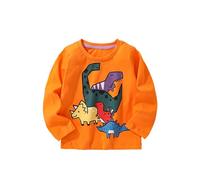 Generico Y2K Felpa Ragazzi 2025 Leggera da Bambino Felpe Girocollo Senza Cappuccio Cappotto Homewear per Bambini Ultra Morbida Oversize Tutti I Giorni Usura