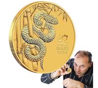 Generico Year of The Snake Commemorative Coin - Collectible Snake Fortune Coin - Chinese Lucky Gold Coin, Lunar New Year for Collection Souvenir, Good Blessing