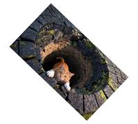 Generico Zerbino - Tappetino d'ingresso antiscivolo e facile da pulire | Tappeto visivo 3D, tappeto per area d'ingresso con illusione di fori 3D per l'inaugurazione della casa, raccolta, camera da,