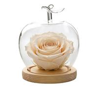 Générique 1 x Glass Dome Display - Decorative Clear Display Bell Jar | Fruit Shape Desktop Decoration, Dustproof Figure Campana Glass Dome | For Collectors Office Shop Retail Store Wedding Jewelry