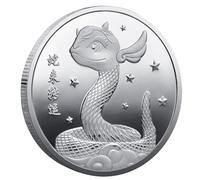Générique Anno del Serpente 2025 Moneta | Moneta Da Collezione Snake Coin - Moneta Di Ferro Money, Moneta Doppia Lato di Capodanno, Distintivo Di E Da, Collezione Di Monete Mo