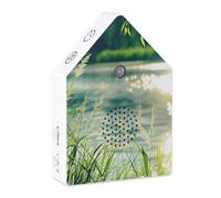 Générique Bird Music Box - Decorative Music Box, Relaxing Musicc with Timer, Bird Cage Musicc, Nature Chirping with Motion Sensor for Home Garden Bedroom Bathroom Yoga Spa Meditation Travel