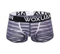 Générique Boxer da uomo sottile sotto abbigliamento da uomo senza marchio Mesh trasparente Sheer vedere attraverso sexy mutandine da uomo Affriolanti perfetti per feste, grigio, S