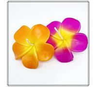 Générique Candele profumate galleggianti Fiore di Frangipanier 10 pezzi (bianco/multicolore) (multicolore)