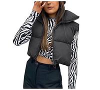 Générique Cappotto Antipioggia Nero Autunno e inverno gilet europeo e americano giacche di cotone colore colletto alto cerniera personalità giacca donna Uomo Inverno Pelliccia, Le Noir, L