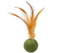 Générique Cat Nip Balls | Palla di Gattino Commestibile in Catnip Giocattoli per Gatti Gatti Giocattoli per Masticazione Buona Salute, Denti Pulizia Gatto, Dolci