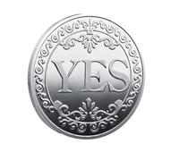 Générique Decision Maker Coin - Metal Decision Maker Lucky Coin, Sì o No Decision Maker Lucky Coin, Choice Coin, Collectible Coin for Friends and Collector