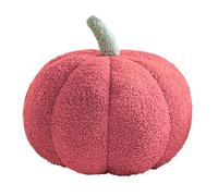 Générique di autunnale, decorativo in peluche pieno, decorazione rustica Doudou per divano camera da fattoria