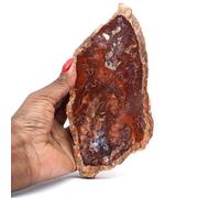 Générique Fetta di Legno Pietrificato Naturale 430 grammi e 180 millimetri, Minerale Legno Pietrificato del Madagascar, Dalla Natura, Modello Unico, Pietra ornamentale, Pietra meditativa