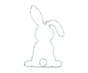 Générique Ghirlanda luminosa di Pasqua | lampada a LED di primavera con telecomando e timer, luce notturna di Pasqua, per primavera, compleanno, festa, ufficio, casa, appartamento, giardino