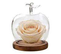 Générique Glass Dome Display - Decorative Clear Display Bell Jar | Fruit Shape Desktop Decoration, Dustproof Figure Campana Glass Dome | For Collectors Office Shop Retail Store Wedding Jewelry