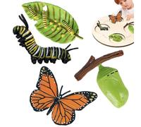 Générique Life Cycle Figurine - 3D Simulated Biology Toy Kit, Science Learning Set, Realistic Butterfly Frog Turtle Stages, Professional Preschool STEM Education Gear, Durevole PP Figures | Fo