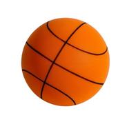 Générique Pallacanestro Silenzioso | Pallone da Basket a Discreto per