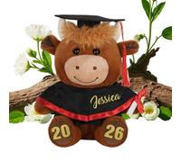 Générique Peluche a Forma di , di ollezionabile, Decorazione di Laurea 2026 - per Presepe Camera Fotografica Compleanno Natale Ragazze
