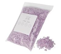 Générique per Sci - Ferro per Accessori da Sci di velocità | Sci Portatile con Protezione 100g,per Snowboard Sport Invernali Sentieri di Montagna All'aperto Snowboarders Principianti