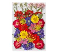 Générique Pressed Flower Stickers - Aesthetic Plant Set for Journaling | 35pcs Real Dried Design, Scrapbook Craft Supplies, Natural Decorative Ornament, Creative Art Tool, DIY Journal Accessory