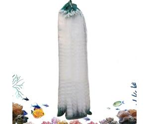 Générique Rete da pesca a rete a maglie monostrato ad alta resistenza, utilizzabile per stagno, acquario, spiaggia, barca, pesca alla trota kayak, acqua salata, 3 dita, Fare riferimento alla