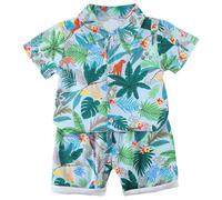 Générique Set da bambino per bambino, abbigliamento per bambini, per spiaggia, piscina, vacanze, set da ragazzo