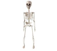 Générique Skeleton Decoration, 2ft Halloween Posable Skeleton, Foldable Skull Human Bone Statue Decorations for Women Office Birthday Party