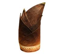 Générique Stuffed Plant Toy, Peluche Pillow, Cute Decorative Model, Soft Sleep Companion, Collezionabile Shelf Accent, Ideale per bambini, Bedroom, Tavolo, Study, Living Room, Home Display Use
