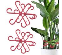 Générique Supporto per gambo, supporti per asta per s - Alocasia Monstera Leaf supporta 4 pezzi | clip di fissaggio per supporto Alocasia rampicante, Monstera, viti, fiori