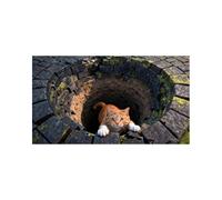 Générique Tappeto Illusione Ottica - Zerbino Velluto Ingresso | Moquette Interna 3D Foro, per Camera, Divano, Appartamento, Dormitorio, Casa Ospiti, Riunione Famiglia, Regalo Cremagliera Compleanno