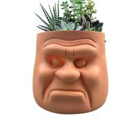 Générique Vasetti succulenti, fioriera per la testa del vaso per il viso - Vaso per il viso divertente umano - Vaso da fioriera a testa divertente umana, vaso in resina per s, erbe