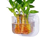 Générique Wall Fish Tank, muro montato acquario 2,76 x 3,54 in Decorative Compact Bowl, Versatile Flower Pot Space Saving, Acquario Bowls for Bedroom Kitchen Apartment