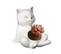 Generisch Améliorez l'esthétique de Votre Maison Avec des pots de Fleurs, parfaits Comme décoratifs et fournitures incontournables Pour Les Amateurs de plantes. Ces Cache-pots polyvalents