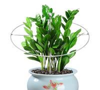 Generisch Aste per piante, supporto invisibile in metallo per interni ed esterni, per fiori, piante da giardino, per rose, , vasi, giardino, balcone, terrazza