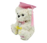 Generisch Cadeau École - Nounours Diplômé En Peluche 22 x 18 cm | Ours De Remise De Diplôme Promotion 2026 Avec Chapeau À Gland, Peluche Souvenir Pour Adolescents Fête Maternelle Primaire Lycée, 150 g