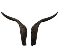 Generisch Corna di capra artificiali ca. 50 cm di lunghezza - di Motes Maschere, realizzate a mano, robuste e leggere - Ideali per Krampus, feste e eventi a tema e decorazioni (Capra domestica piccola