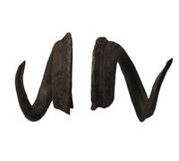 Generisch Corna di Capra circa 62 cm - Corna artistiche realistiche di Motes Masken, fatte a mano, robuste e leggere - Ideali per Krampus, Perchten, feste e eventi a tema e decorazioni (Sfera Capra)