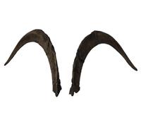 Generisch Corna di Capra Lunghe circa 76 cm - Corna artistiche realistiche di Motes Masken, fatte a mano, robuste e leggere - Ideali per Krampus, Perchten, feste e eventi a tema e decorazioni (M1