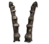 Generisch Corna di Capricorno ca. 47cm - Corna artistiche realistiche di Motes Masken, fatte a mano, robuste e leggere - Ideali per Krampus, Perchten, feste e eventi a tema e decorazioni (Capricorno 1