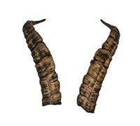 Generisch Corna di Gredos ca. 64 cm - Corna artistiche naturali di Motes Masken, fatte a mano, robuste e leggere - Ideali per Krampus, Perchten, feste e eventi a tema e decorazioni (Gredos 1)