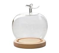 Generisch Cupola di a forma di mela | Presentazione chiara in miniatura con base in legno, elegante cloche a forma di frutta per fiori conservati, gioielli, matrimoni e decorazioni per la casa