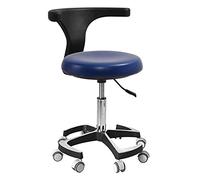 Generisch Dental Stool with Backrest: Height Adjustable Assistant Dentist Chair for Office, Medical, Dental Shop op, Lab & Beauty Salon