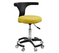 Generisch Dental Stool with Backrest: Height Adjustable Assistant Dentist Chair for Office, Medical, Dental Shop op, Lab & Beauty Salon