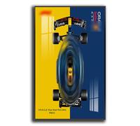 Generisch Display Wallboard for Lego Technic Oracle Red Bull Racing RB20, Wall Mount for 42206 Model, Space Saving, Easy Assembly, Creative Home Decoration
