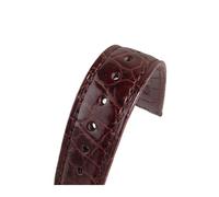 Generisch EDVTK35, cinturino doppio in pelle di coccodrillo, 18 mm, 19 mm, 20 mm, 21 mm, 22 mm, 23 mm, 24 mm, di lusso, cinturini per orologi (Dark Brown Strap, 23 MM_WITH SILVER BUCKLE)