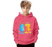 Generisch Felpa con cappuccio con stampa grafica per ragazzi e ragazze, maglione in pile morbido con motivi per giocare a scuola, Colore: rosa., 4-5 Jahre