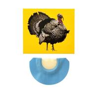 Generisch Fischietto per uccelli con effetto sonoro, fischietto pazzo, suoni di animali, fischietto per uccelli in colori brillanti, può imitare la reputazione di un tacchino per feste di compleanno