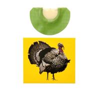 Generisch Fischietto per uccelli con effetto sonoro, fischietto pazzo, suoni di animali, fischietto per uccelli in colori brillanti, può imitare la reputazione di un tacchino per feste di compleanno