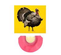 Generisch Fischietto per uccelli con effetto sonoro, fischietto pazzo, suoni di animali, fischietto per uccelli in colori brillanti, può imitare la reputazione di un tacchino per feste di compleanno