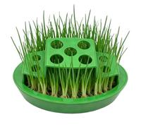 Generisch Green Onion Planter - ABS, Hydroponic Tray Free Growing System | Easy Indoor Vegetable Regrow Container, Scallion Planter for Windowsill, Kitchen Counter, Balcony, Indoor Gardening